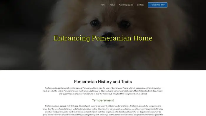 Screenshot of