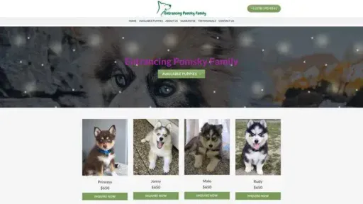 Screenshot of