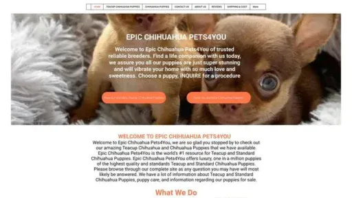 Screenshot of