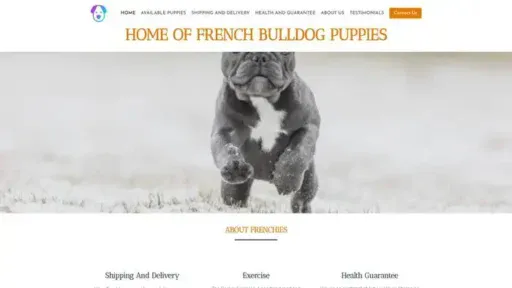 Screenshot of