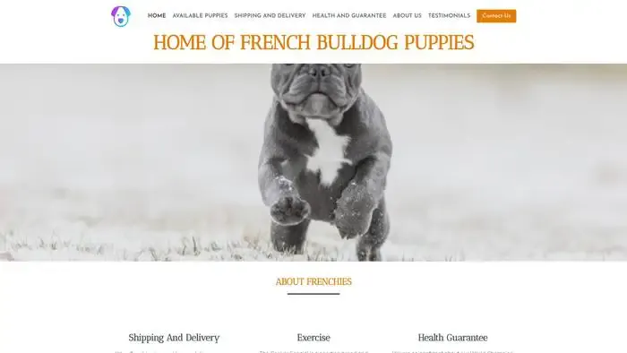 Screenshot of