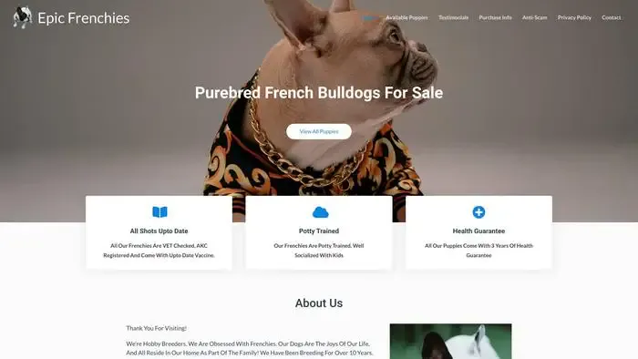 Screenshot of