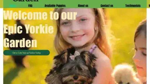 Screenshot of