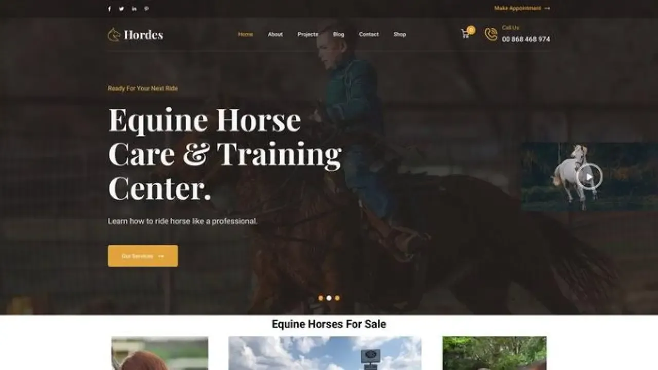 Equinehorseforsale
