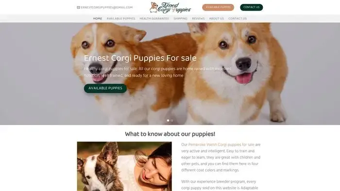 Screenshot of