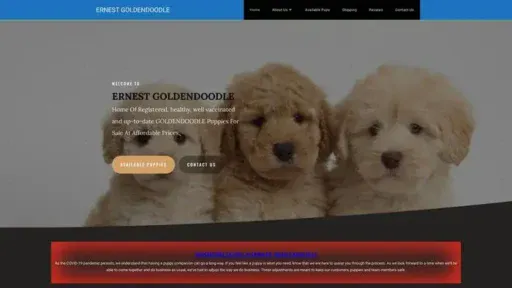 Screenshot of