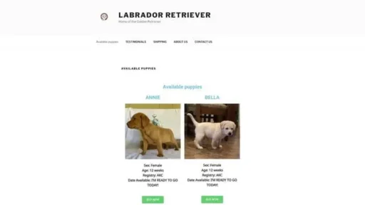 Screenshot of