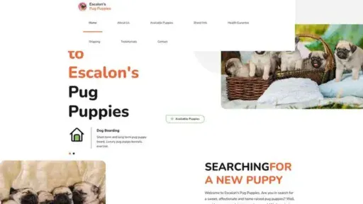 Screenshot of