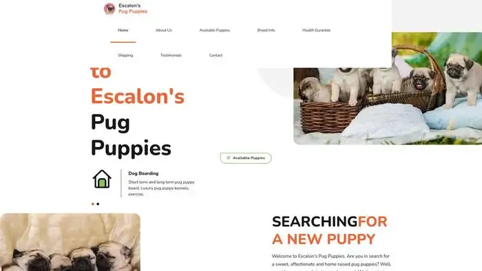Screenshot of
