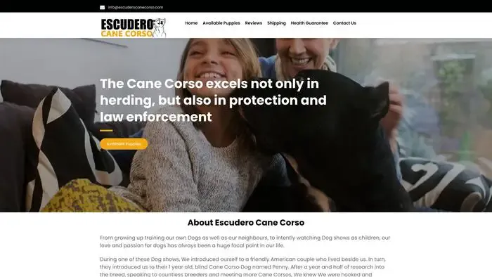 Screenshot of