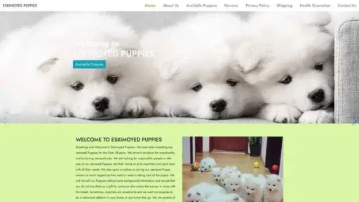 Screenshot of