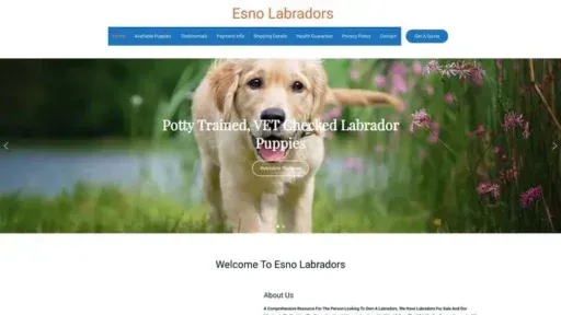 Screenshot of