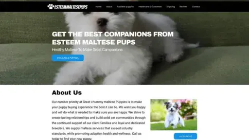 Screenshot of