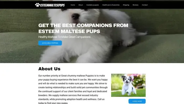 Screenshot of