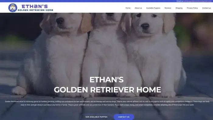 Screenshot of