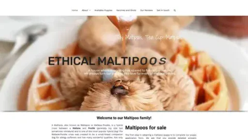 Screenshot of