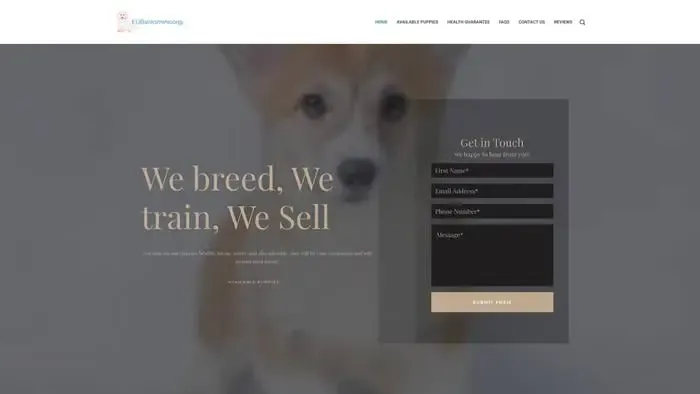 Screenshot of
