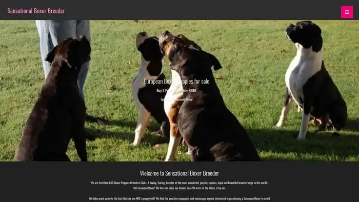 Screenshot of