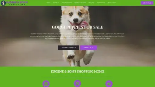 Screenshot of