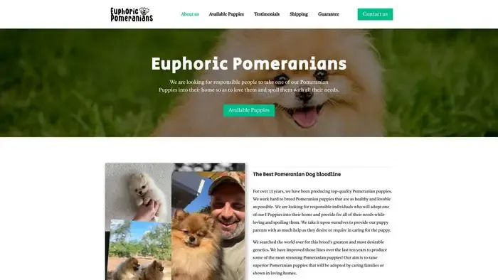 Screenshot of