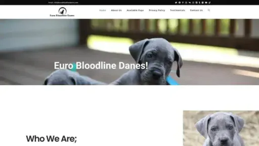 Screenshot of