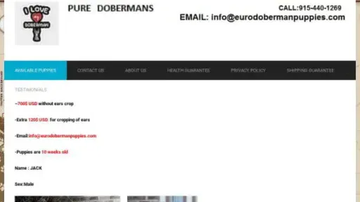 Screenshot of