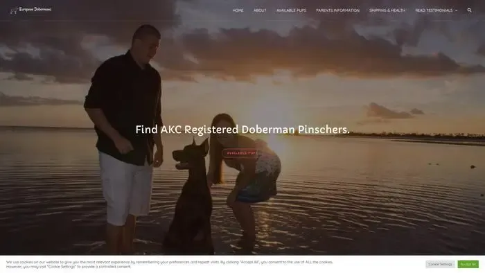 Screenshot of