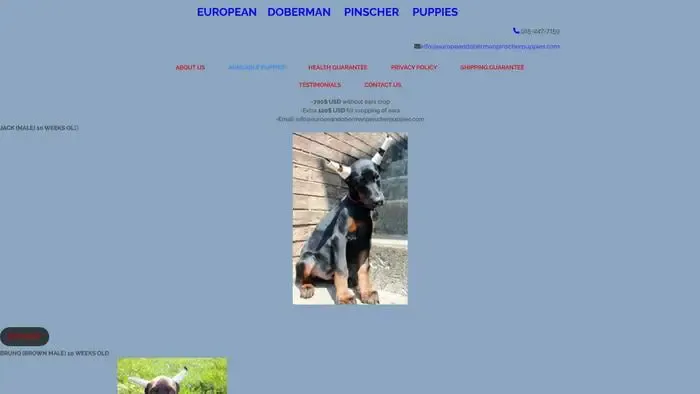 Screenshot of