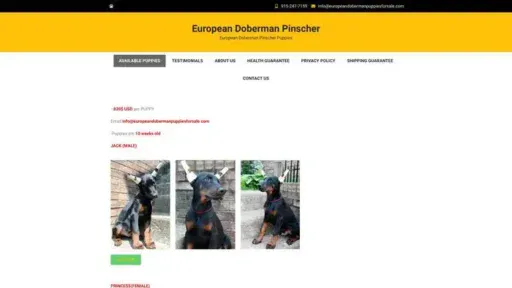 Screenshot of