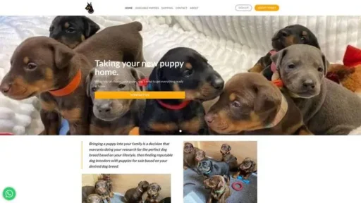 Screenshot of
