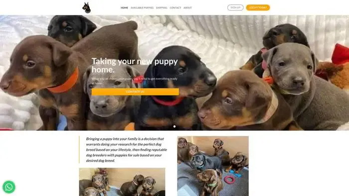 Screenshot of