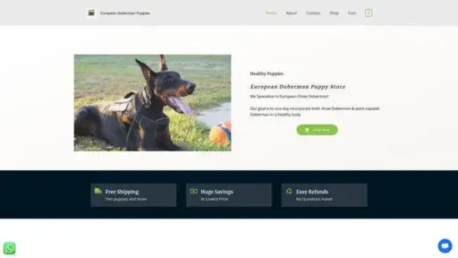 Screenshot of