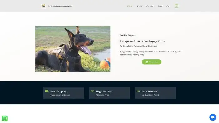 Screenshot of