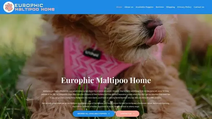 Screenshot of
