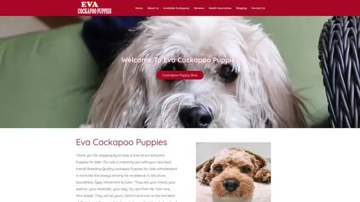 Screenshot of