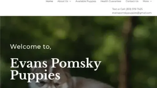 Screenshot of