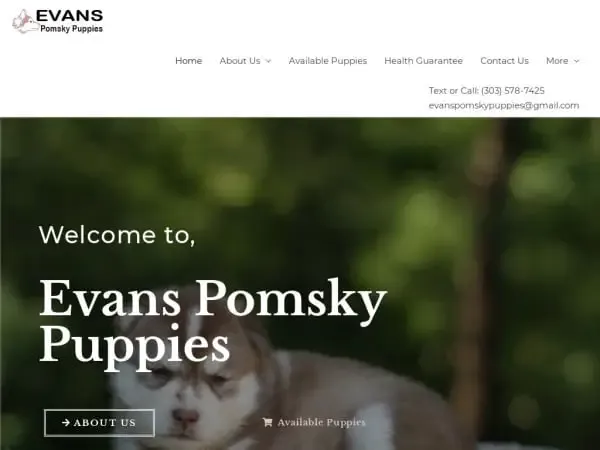 Screenshot of