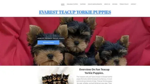 Screenshot of