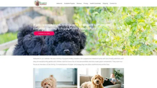 Screenshot of||