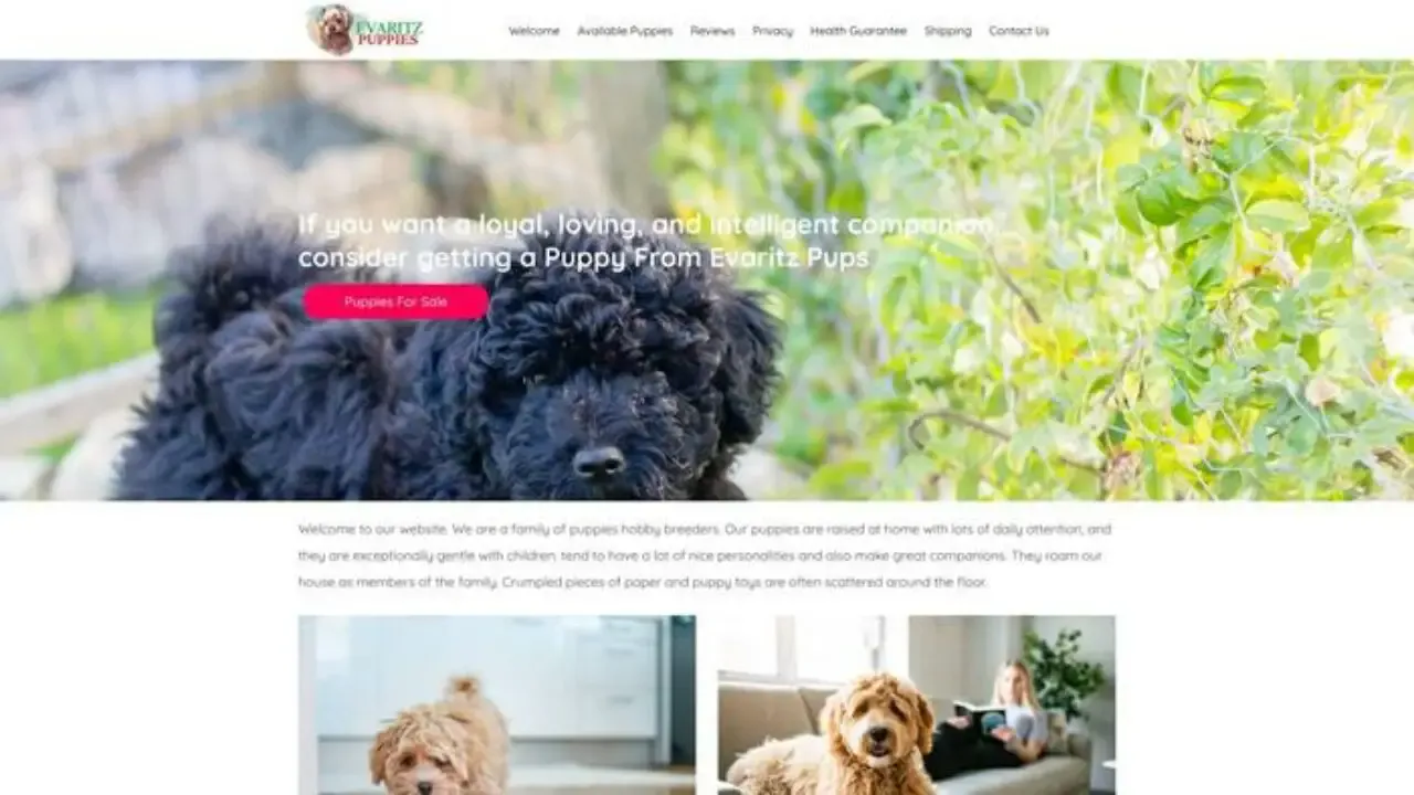 Screenshot of||