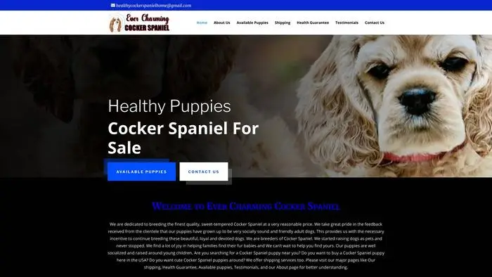 Screenshot of