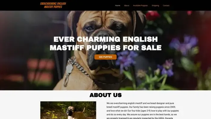 Screenshot of