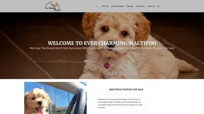 Screenshot of