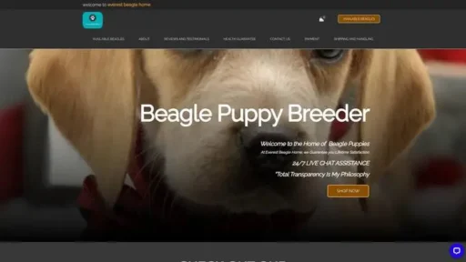 Screenshot of