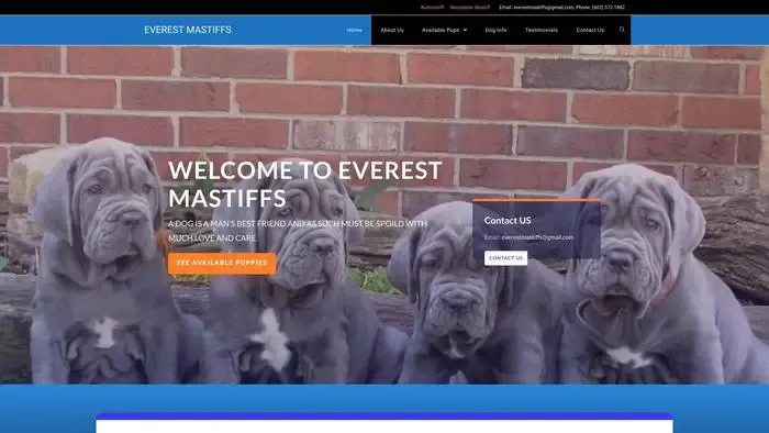 Screenshot of