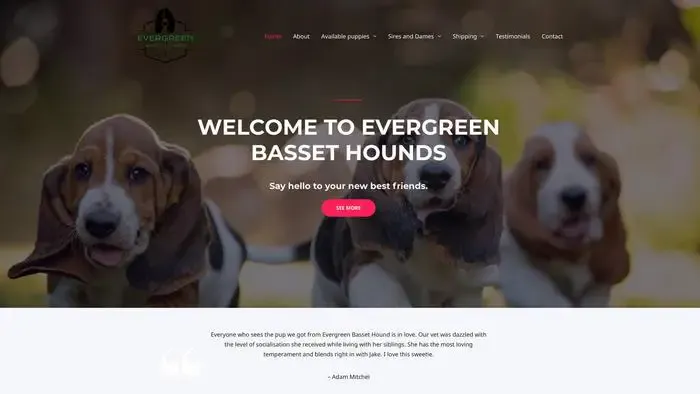 Screenshot of