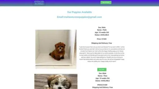Screenshot of