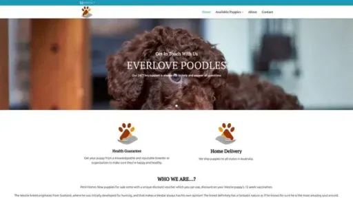 Screenshot of