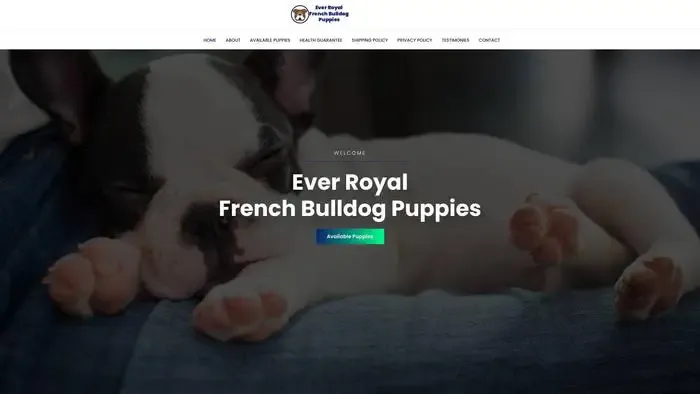 Screenshot of