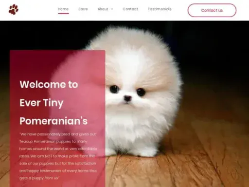 Screenshot of